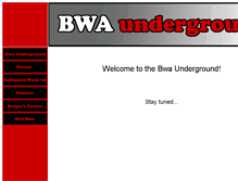 Tablet Screenshot of bwaunderground.com